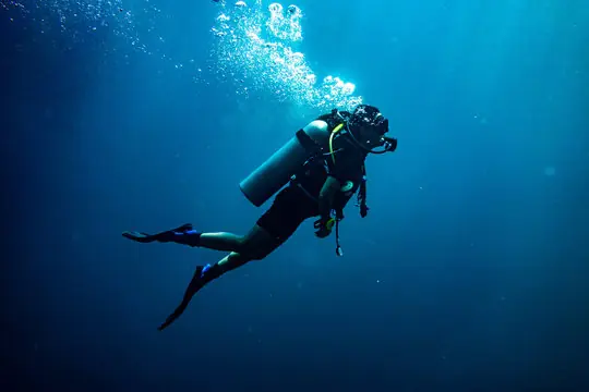 Diving Experiences